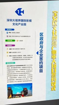 大视界集团与宝安区委区政府正式签约