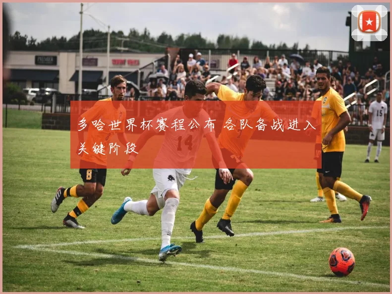 多哈世界杯赛程公布 各队备战进入关键阶段
