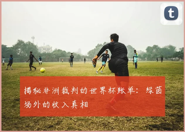 揭秘非洲裁判的世界杯账单:绿茵场外的收入真相