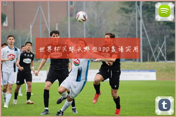 世界杯买球衣哪些app靠谱实用