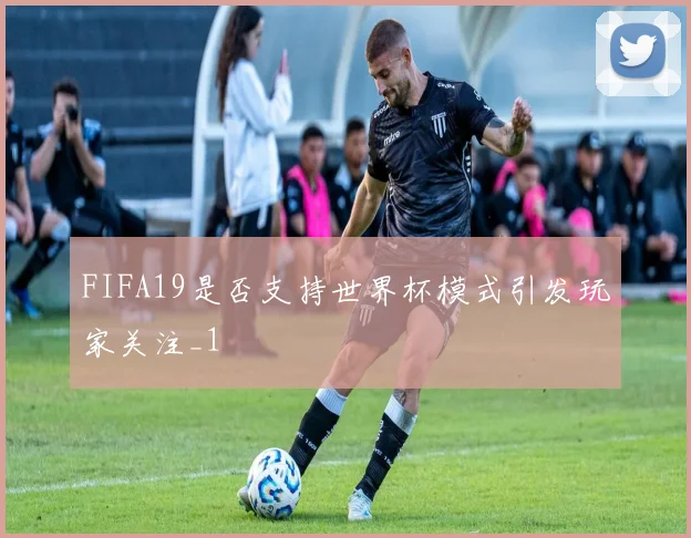 FIFA19是否支持世界杯模式引发玩家关注_1