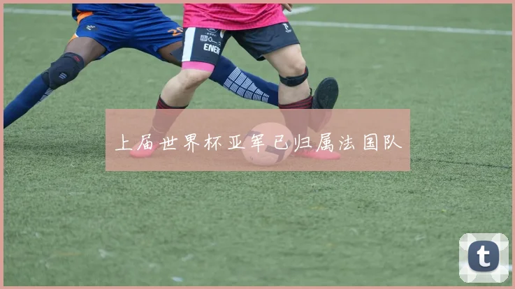 上届世界杯亚军已归属法国队