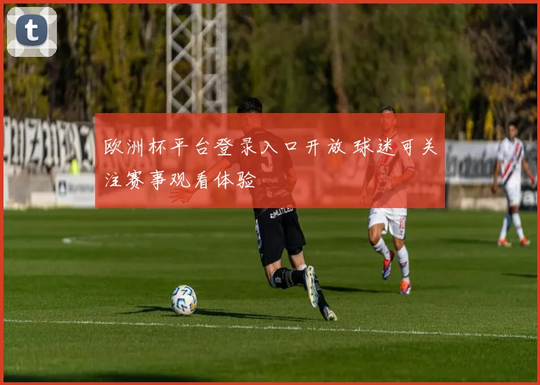 欧洲杯平台登录入口开放 球迷可关注赛事观看体验