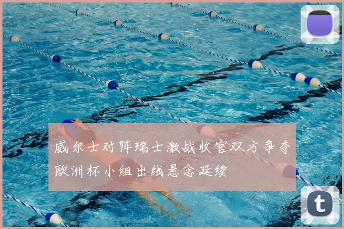 威尔士对阵瑞士激战收官双方争夺欧洲杯小组出线悬念延续