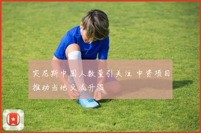 突尼斯中国人数量引关注 中资项目推动当地交流升温