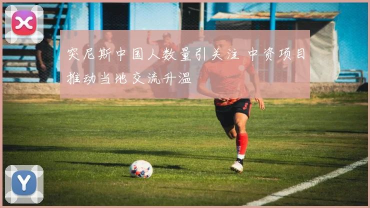 突尼斯中国人数量引关注 中资项目推动当地交流升温